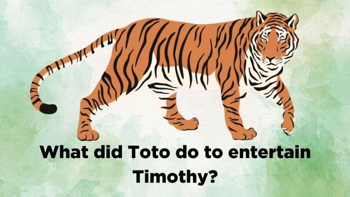 What did Toto do to entertain Timothy?