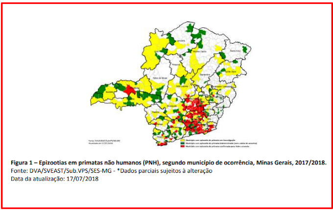  Informes Epidemiológicos da Febre Amarela +  atualização das epizootias em Minas Gerais