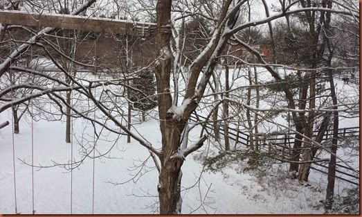 20150127_092206