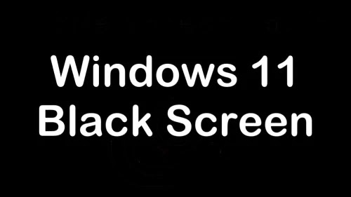 Windows 11 Black Screen Problem Solved