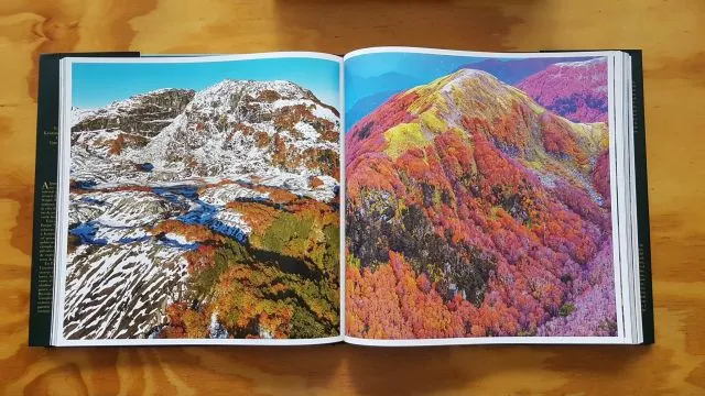 Libro del Parque Nacional Pumalín