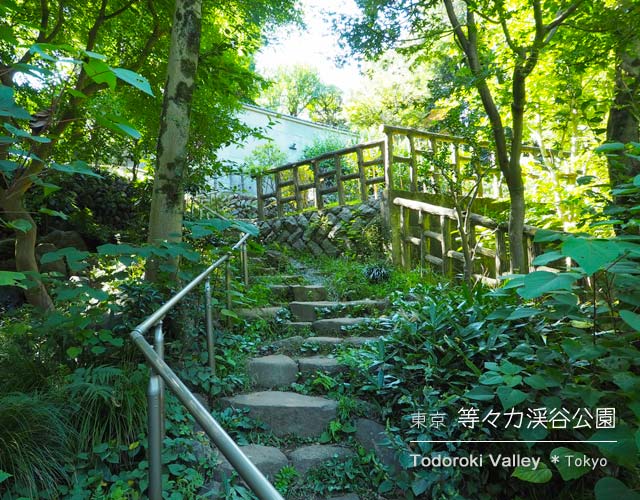 等々力渓谷公園の日本庭園
