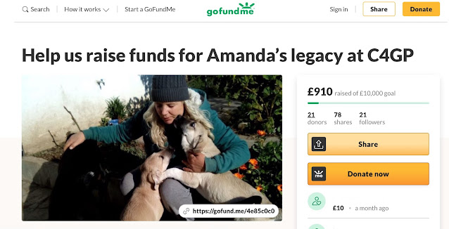 Amanda's legacy Go Fund Me campaign to raise £10,000