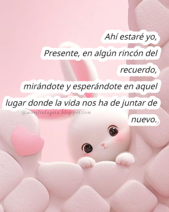 Sí. En algún momento creí en lo que no debía sentir. Pero el amor es fuerte. Es un lazo que te amarra los pies y la cabeza, impidiéndote correr para salvarte de la contaminación sentimental. Contaminación porque terminas asfixiándote con los deshechos de las ilusiones y las promesas. Ojalá algún día. Ojalá me quiera. Ojalá me recuerde cuando ya no esté ahí nunca más. Nunca más como promesa de amor propio. O como excusa para no volver a intentarlo. Hablar de lo que me duele representa exponer la herida al sol. Hacerla visible y, con ello, vulnerable. Me expongo a que me rompas, una y otra, y otra vez. Que sea a tu antojo que me hagas pedazos, con tu forma inaudita de hacerme sentir que, a veces, los corazones rotos terminan con un final no tan desastroso. He venido exponiendo mi caso. La historia del gato que se enamora entre teja y teja, entre lunas menguantes y llenas, entre vidas perdidas y vidas gastadas. Quiero creer que me amaste de una forma con la que no has amado a nadie. Quiero creer, también, que sigo en este camino porque dicen que, el verdadero amor termina algún día, pero en algún lugar han de encontrarse nuevamente. No mantengo mis defensas tan altas como para no enamorarme de otro gato, porque me voy a caer en las redes del amor tantas veces como me lo permitan las vidas que me quedan. Has de esperarme, y has de enamorarte de otros. Has de hacer vidas y escribir historias de esas que el egoísmo te impide contarlas, porque han de ser solamente de dos. Como en dos se partirá nuestro corazón tras nuestra despedida, y el pino sonará de fondo mientras el uno mira cómo el otro se va.  Has de arriesgarte y te han de romper el corazón, has de sanar tan rápido como has de besar otros labios que te harán olvidar amores veraniegos. Has de olvidar también caricias, besos y baladas. Pero ahí estaré yo, presente, en algún rincón del recuerdo, mirándote y esperándote en aquel lugar donde la vida nos ha de juntar de nuevo.  Y ahí entenderás que, uno puede hacer mil vidas, escribir mil historias, bailar mil tormentas; pero siempre regresa al abrazo que te protegió del mundo. Y ahí estaré yo, con mis brazos abiertos, mientras llovizna; mientras nosotros seremos esa tormenta de la que no se sale bailando. Benjamín Griss