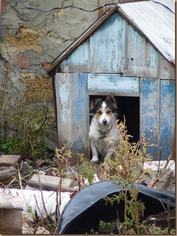 Russia Oct 2011 013