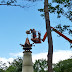 Les travaux du restaurant avancent à Efteling