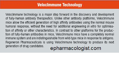 إنتاج الأجسام المضادة البشرية في الفئران VelocImmune