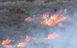 Controlan a tiempo un voraz incendio en Alto Lechuguillas