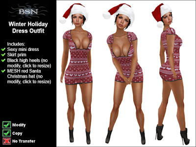 BSN Winter Holiday Dress Outfit