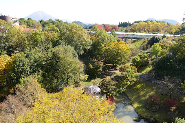 鳥取県西伯郡南部町鶴田　とっとり花回廊　紅葉の花の谷