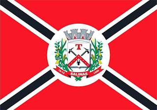 Bandeira de Salinas MG