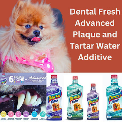 Which water additives are best for dog dental health , Dental Fresh Advanced Plaque and Tartar Water Additive