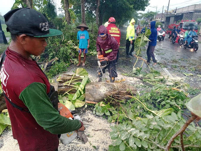 Polisi dan TNI Bersama Warga Gotong Royong Tangani Bencana Angin Kencang Landa 3 Desa di Tulungagung