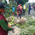 Polisi dan TNI Bersama Warga Gotong Royong Tangani Bencana Angin Kencang Landa 3 Desa di Tulungagung