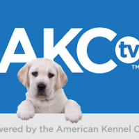 How to Install the AKC TV App on Your TV and Watch Dog Shows, Training Videos, and More