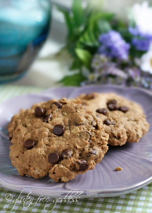 Wonderful gluten-free oatmeal cookies with chocolate chips