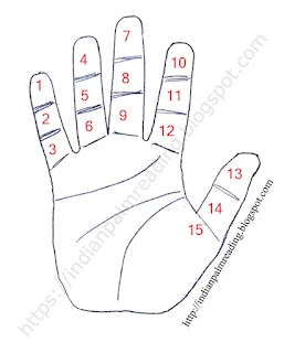 उंगलियों के पोर से समय निर्धारण | Time Calculation Through Fingers Phalanges Palmistry