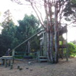 View album