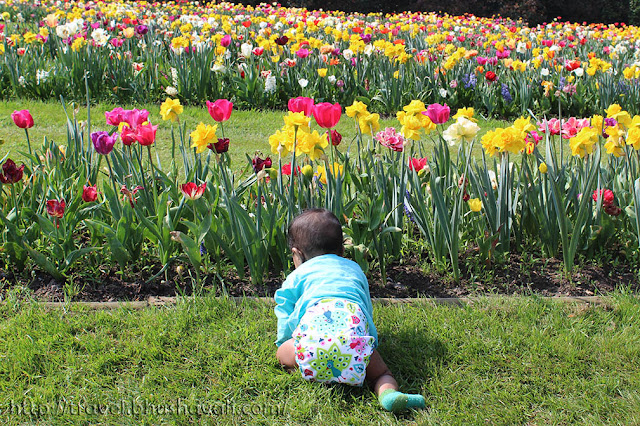 Floralia Brussels Most instagrammable places in Brussels