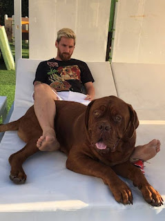 Hulk, el perro de Lionel Messi