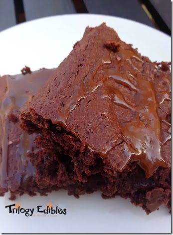 brownie2a