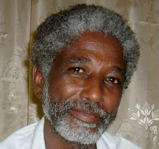 https://www.amnesty.org/en/get-involved/take-action/release-sudan-human-rights-defender-dr-mudawi-ibrahim-adam/