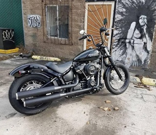 harley davidson street bob