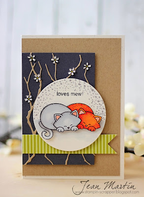 Kitty card using Newton's Antics Stamp set 