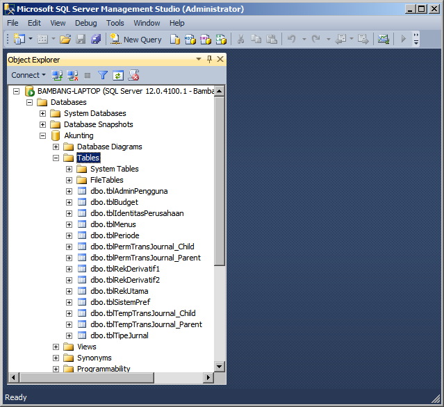 Begini Cara Membuat Linked Table dari Database SQL Server 
