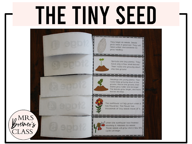 The Tiny Seed book activities unit with literacy printables, plant life cycle activities, reading companion, and lesson ideas for spring in Kindergarten and First Grade