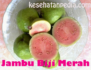 Buah Jambu Biji Merah