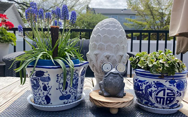 planters and a frog on a table riser