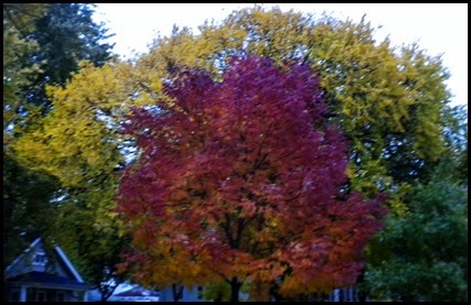DSCN4928
