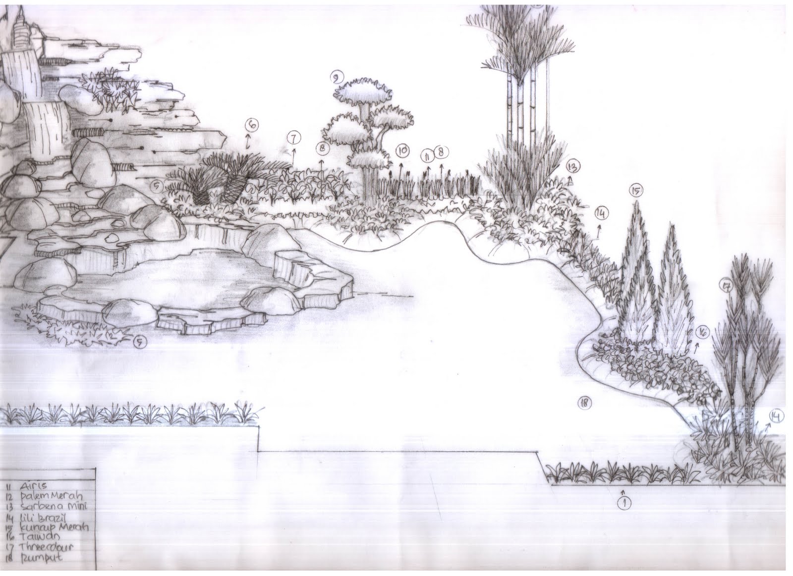Sketsa taman | tukang taman murah | Tukang Taman