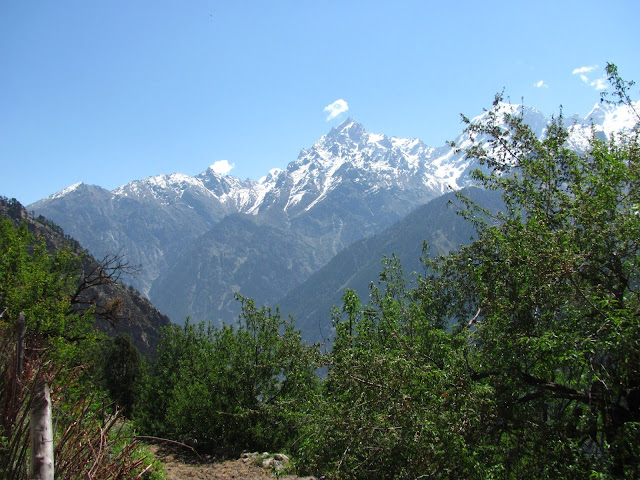 Roghi Village Kinnaur