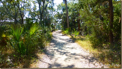 Botany Bay and the Boneyard_017