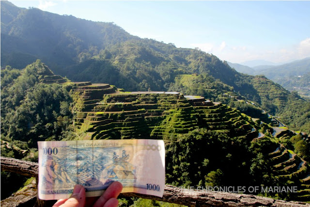 rice terraces