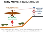 eagle snake me