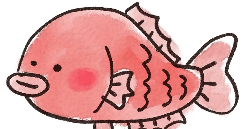 鯛のイラスト ゆるかわいい無料イラスト素材集 鯛のイラスト ゆるかわいい無料イラスト素材集