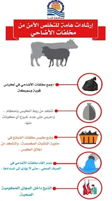 محافظة قنا تناشد المواطنين ضرورة التخلص الآمن من مخلفات الأضاحي حفاظا علي البيئة