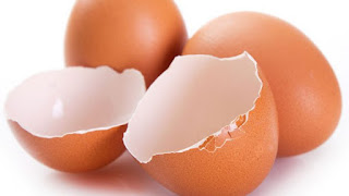 Yumurta Kabuğunun Faydaları Nelerdir