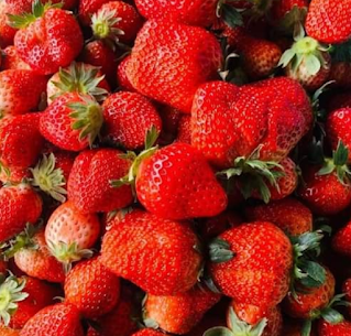 Garden strawberry