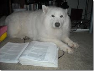 kiki studying