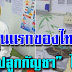 โฉมหน้าคนแรกของไทย ขออนุญาต ปลูกกัญชา โดยไม่ผิดกฎหมายได้แล้ว