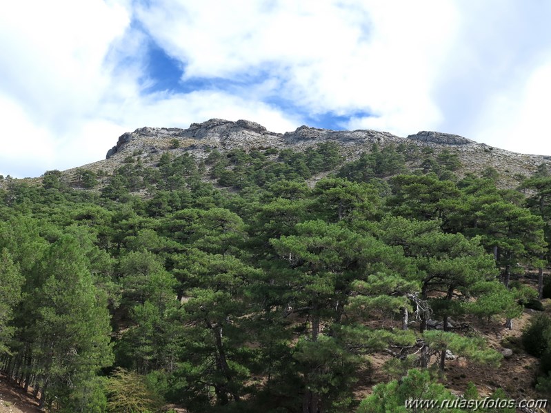 Pico Blanquillo (Sierras de Cazorla, Segura y Las Villas