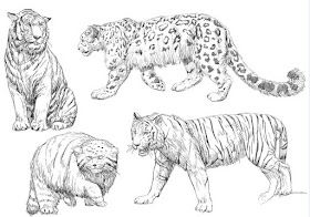 01-Different-cats-Animal-Pencil-Drawings-Chen-Yang-www-designstack-co