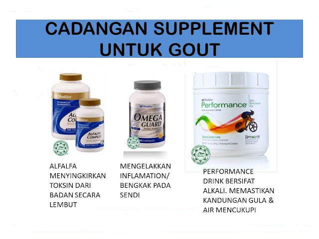 Image result for TESTIMONI SET GOUT SHAKLEE