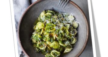 The Great "Recipe" >> Orecchiette Pasta with Broccoli Sauce - xX1 yum1my