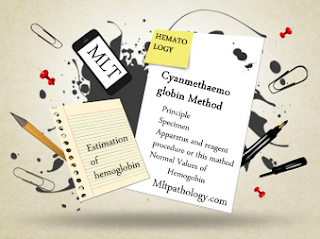 https://www.mltpathology.com/