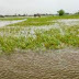 Lagi, Lampasa Terendam Banjir